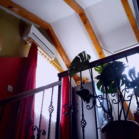 Mama Cvita-city Apartment