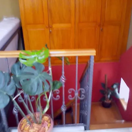 Apartment Mama Cvita-city